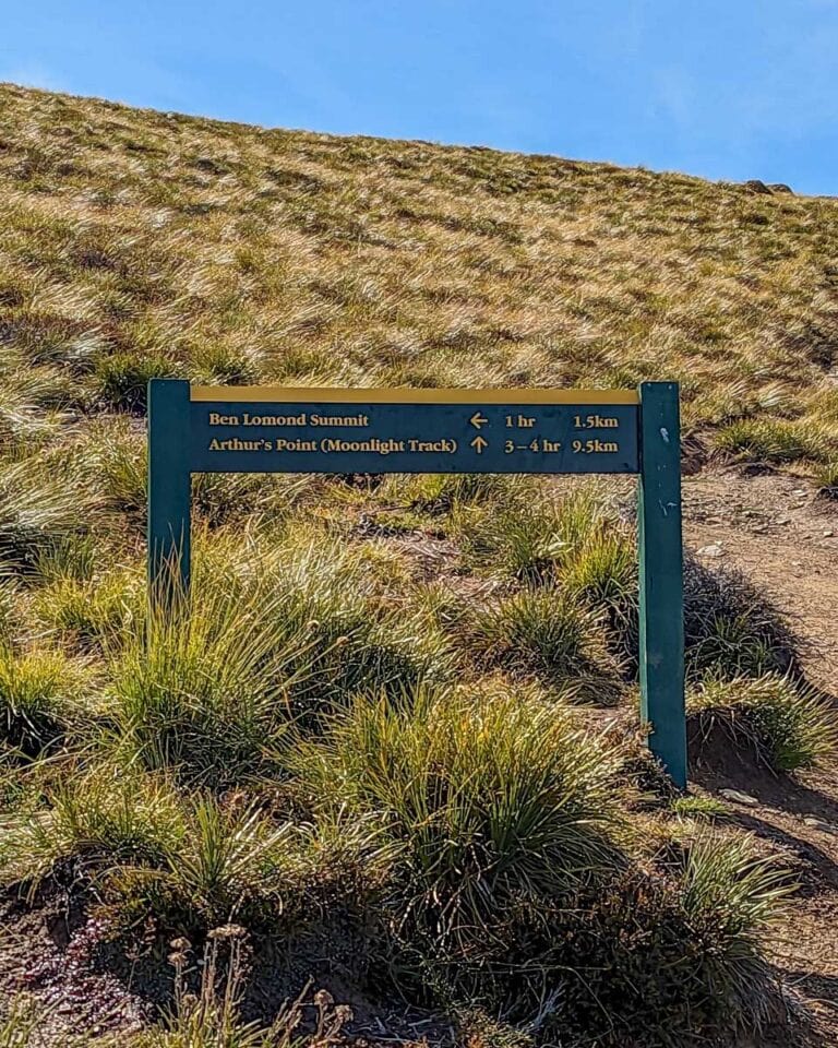 How to Hike Ben Lomond Track in Queenstown My Queenstown Diary