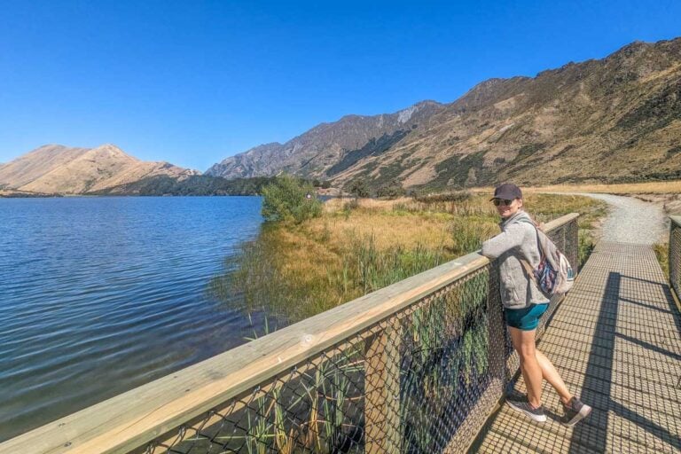 Bailey stops for a break on the Moke Lake Walkway