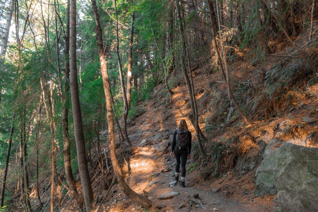 A lady hikes up the Tiki Trail near the start of the track