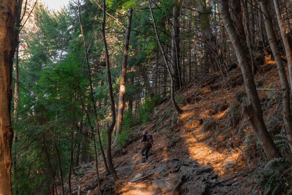 A lady hikes up the Tiki Trail