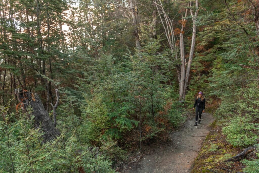A lady walks on a flat path on the Tiki Trail