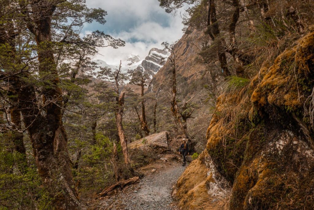 Views of the mountain from the Routeburn Track