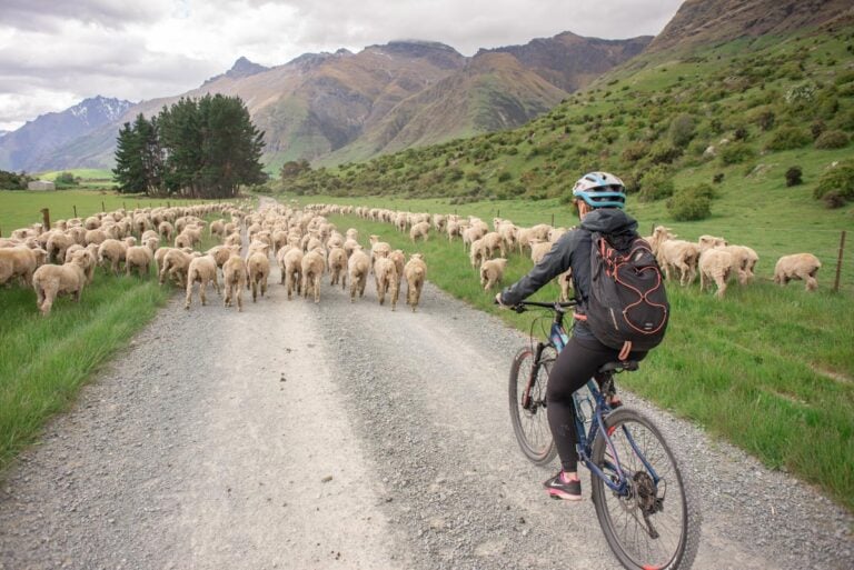 Bike riding on the Mt Nicholas Farm near Queenstown