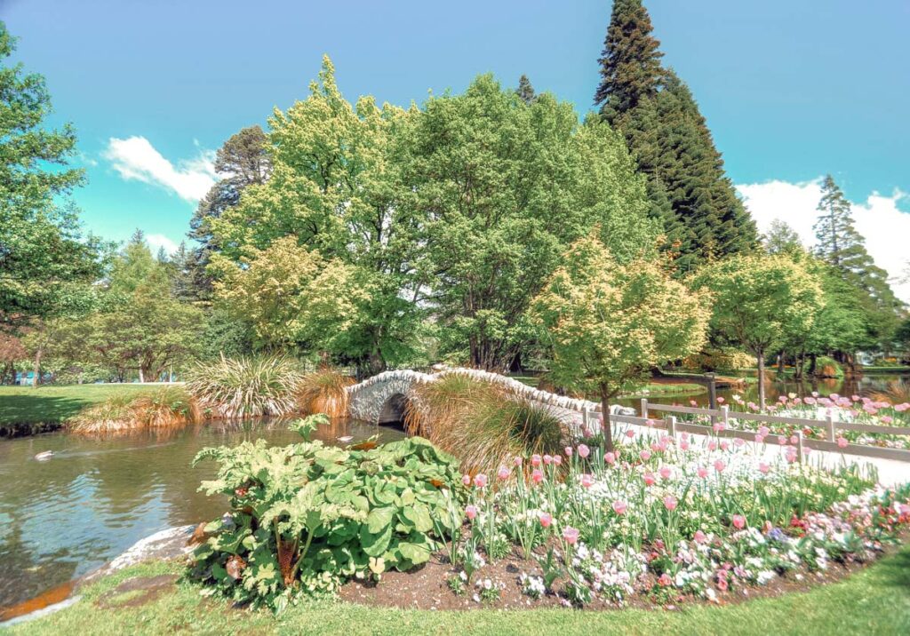 A bridge and flowers in the Queenstown Gardens