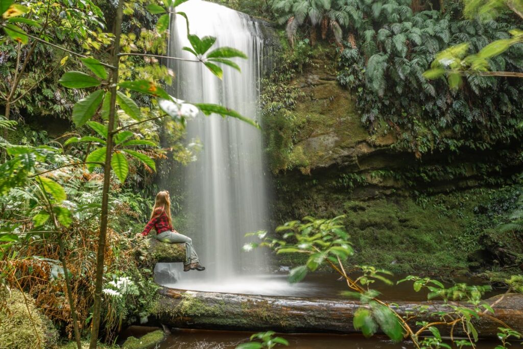 Koropuku Falls in the Catlins