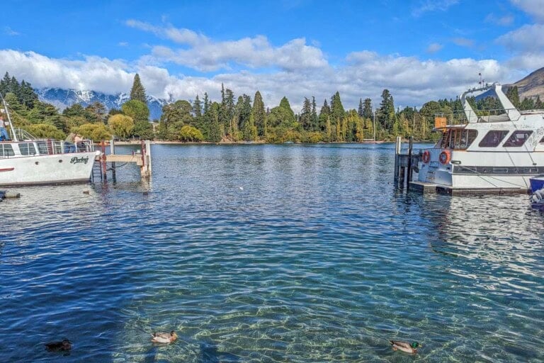 Ducks swim in Lake Wakatipu as seen from Queenstown waterfront, New Zeaand