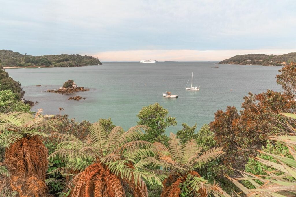 Views from Stewart Island, New Zealand