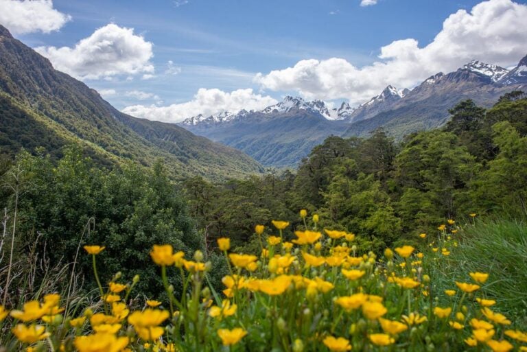Pop's View on Milford Road
