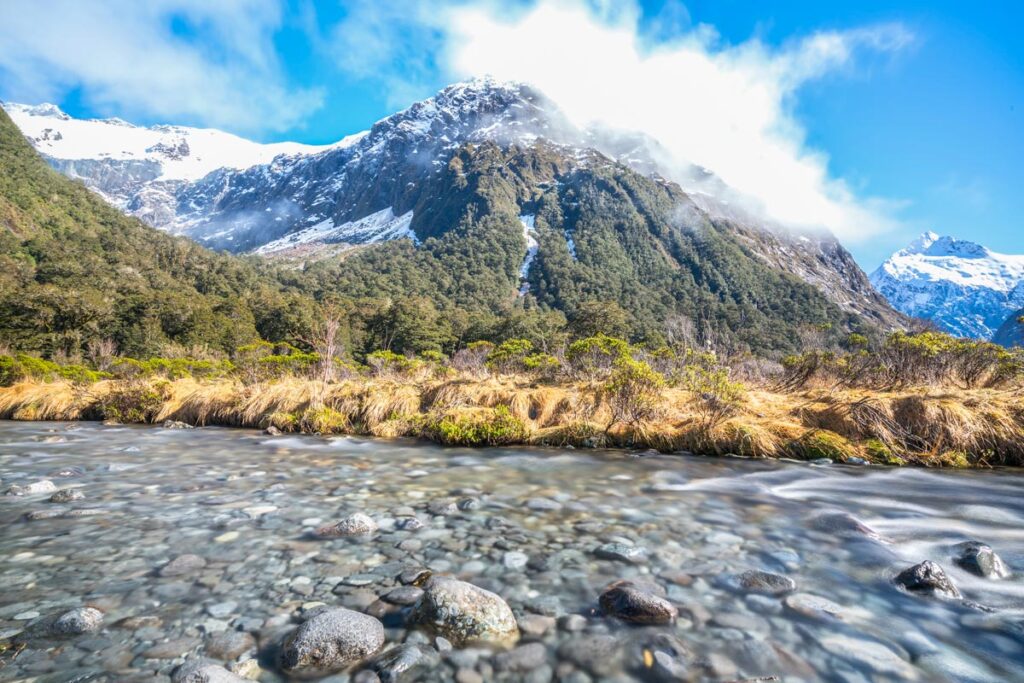 Monkey Creek near Milford Sound