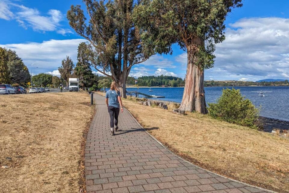 11 Best Places to Stop on the Drive from Queenstown to Te Anau