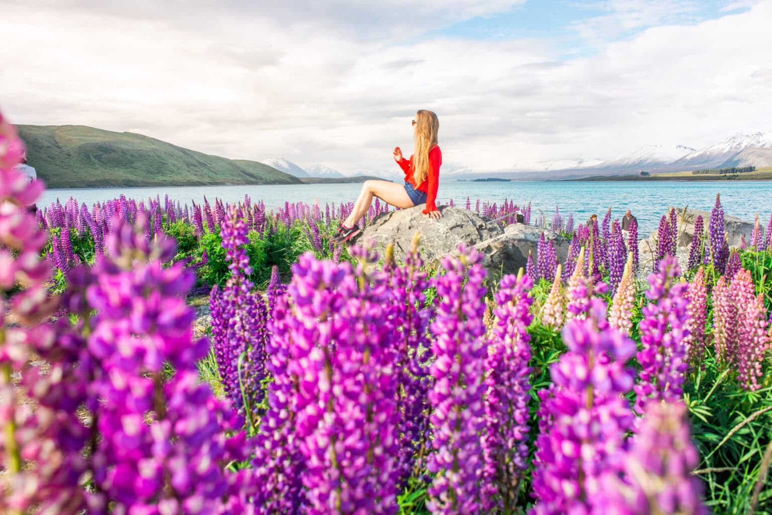 20 FUN Things to do in Lake Tekapo, New Zealand - My Queenstown Diary
