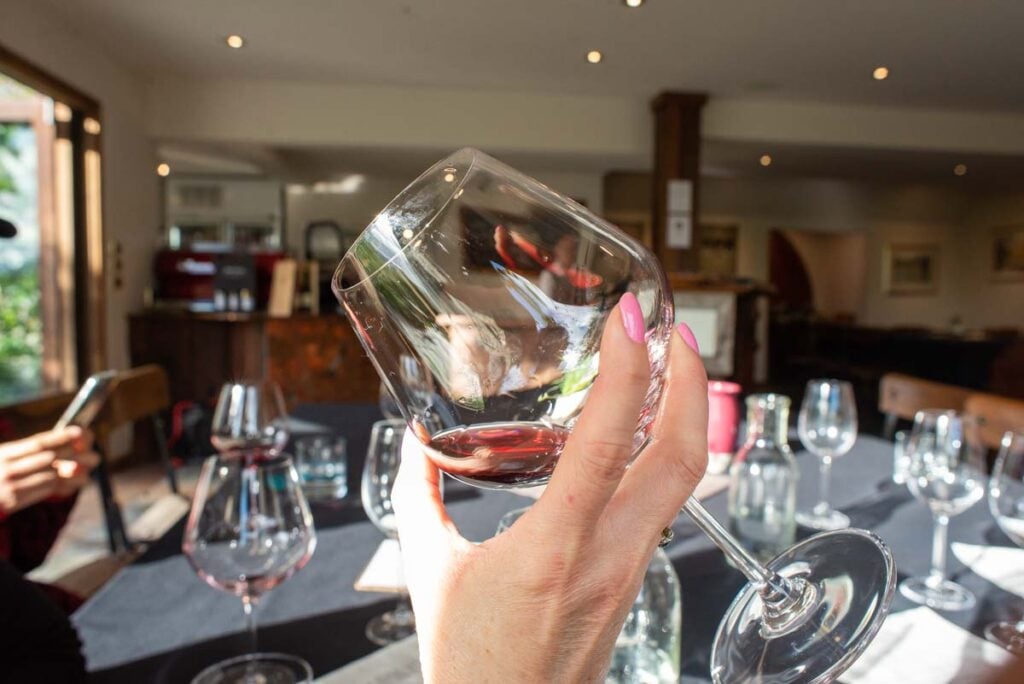 A lady holds a glass of wine up in a winery near Queenstown