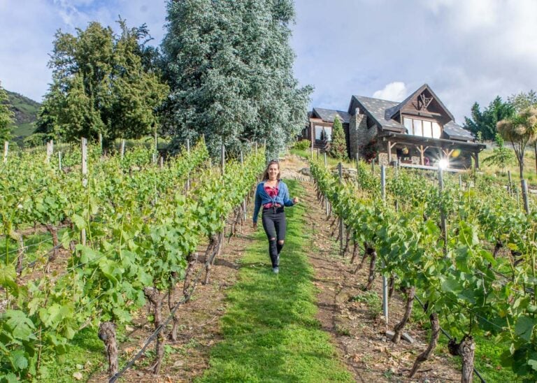 Walking the vines at a vineyard in the Gibbston Valley
