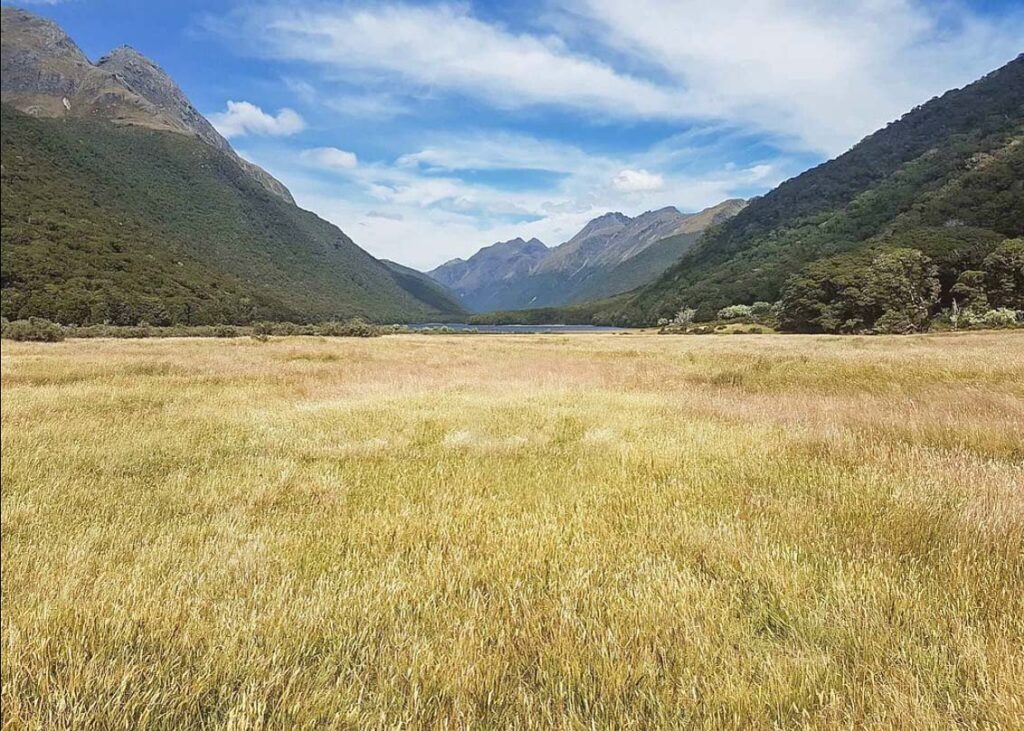 Views of the Greenstone and Caples Track