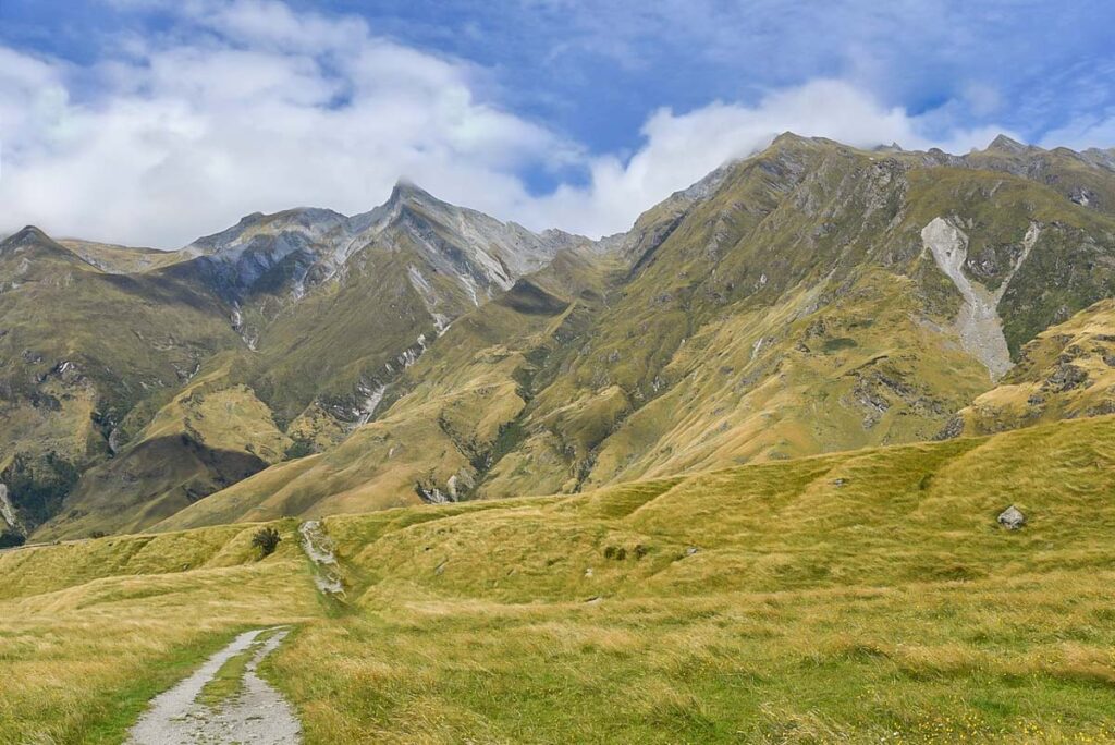Views on the West Matukituki Track