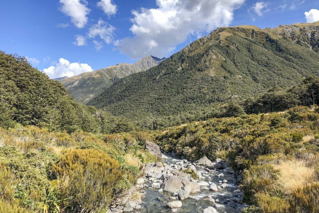 Views on Arthur's Pass Walking Track
