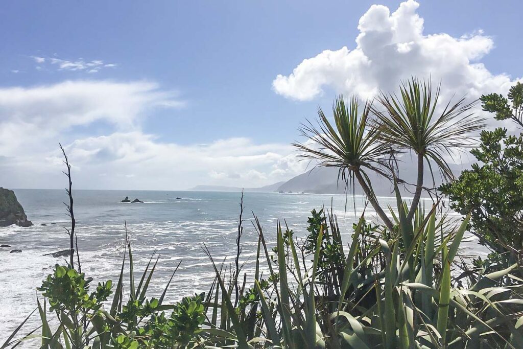 sea view on the Point Elizabeth Walkway