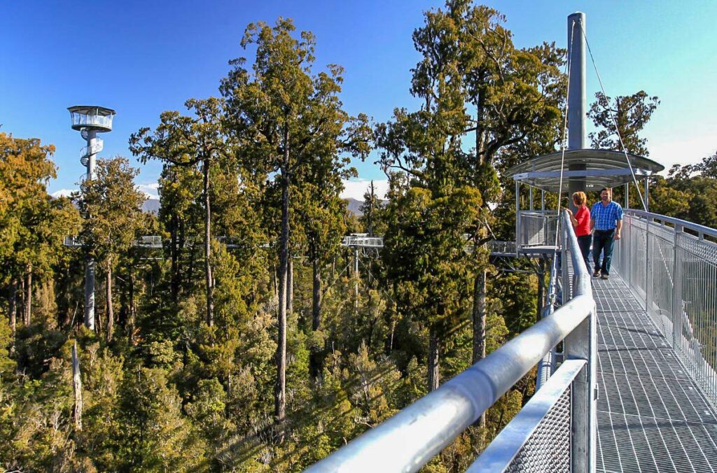Views on the West Coast Treetop walk