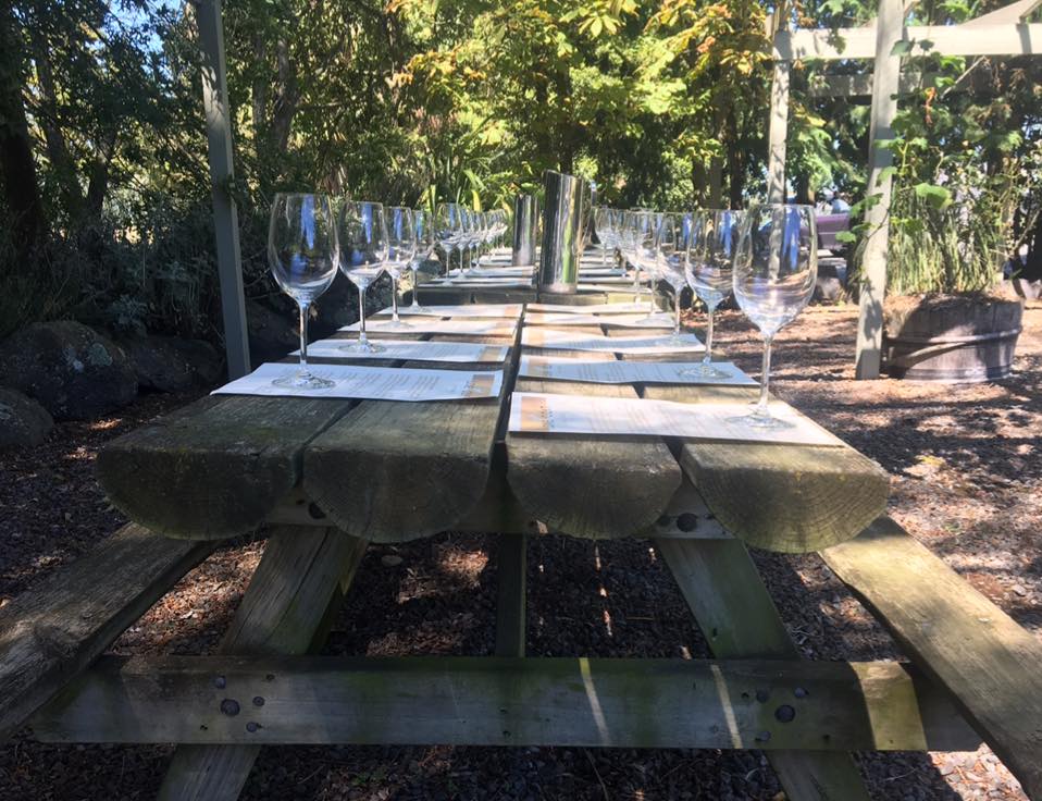 a tasting table setup at Lone Goat Vineyards near Christchurch