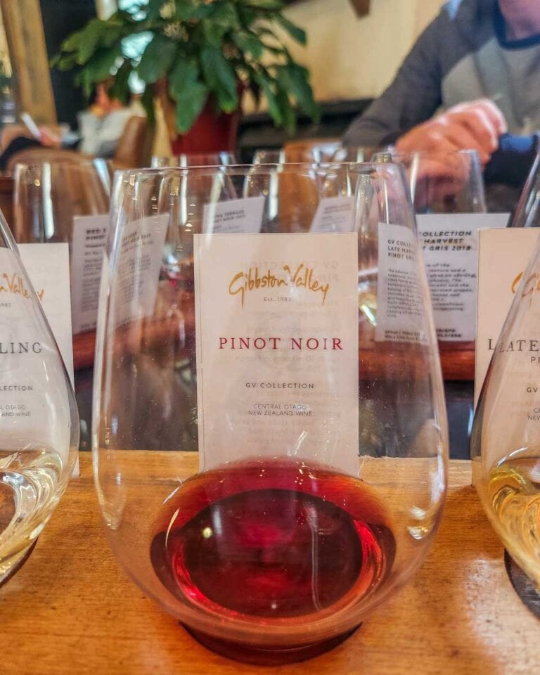 9 BEST Wineries in Queenstown that You Have to Visit (2025 Guide!) My Queenstown Diary