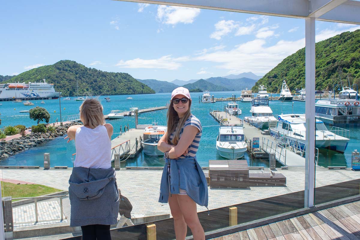 Bailey at the harbor in Picton