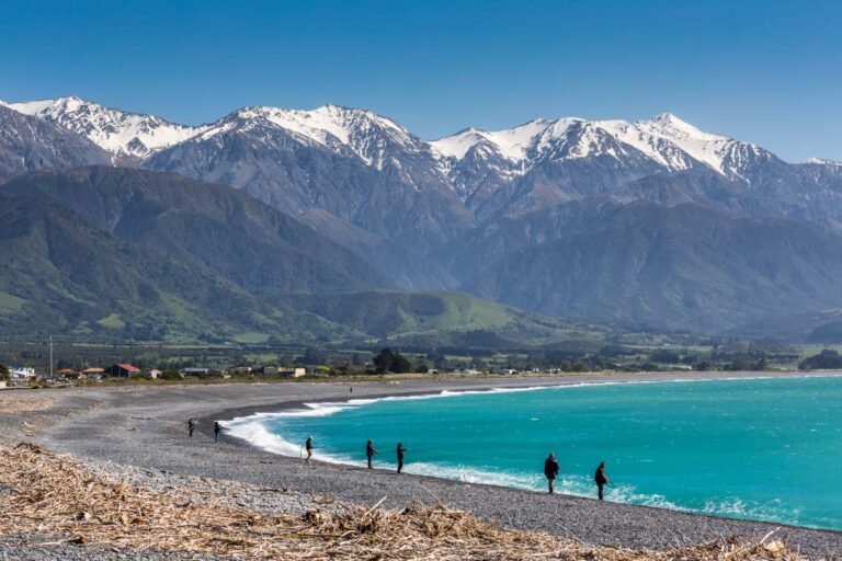 24 BEST Things to do in Kaikoura, New Zealand My Queenstown Diary