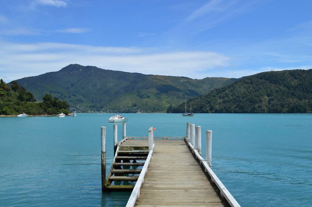 view from Groves arm jetty