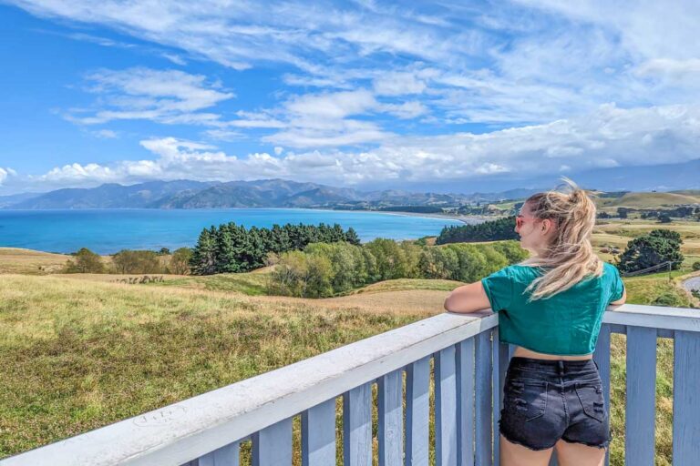 Bailey looks out over the coastline from the other side of Kaikoura Lookout
