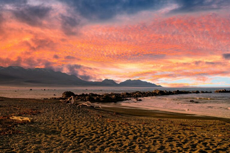 24 BEST Things to do in Kaikoura, New Zealand My Queenstown Diary