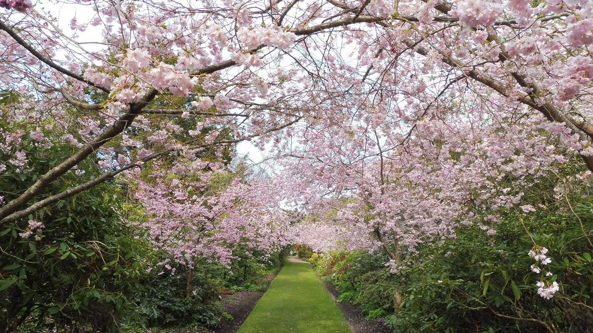 25 BEST Things to do in Dunedin, New Zealand (2026 Guide!) - My ...