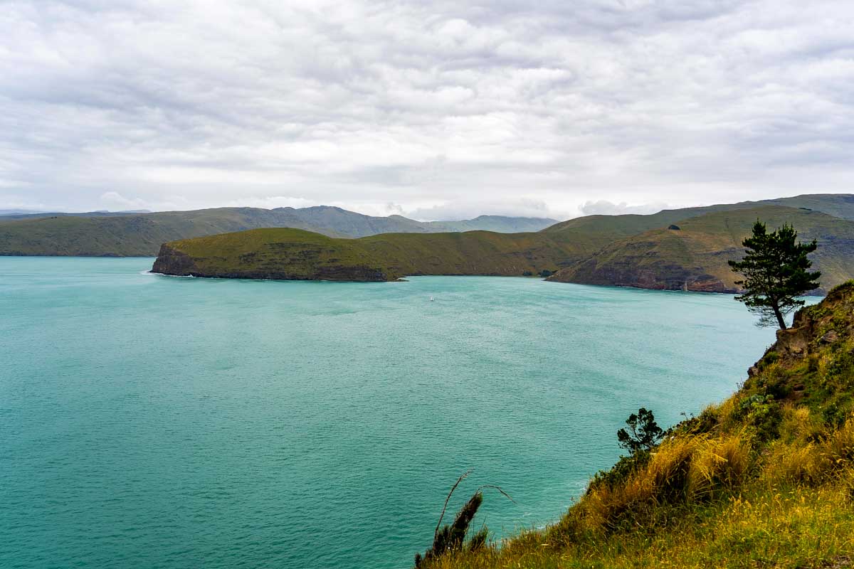 Part of the Godley Head Trail seen near Christchurch New Zealand