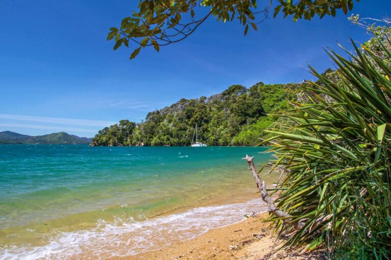 21 FUN Things to do in Picton, New Zealand My Queenstown Diary