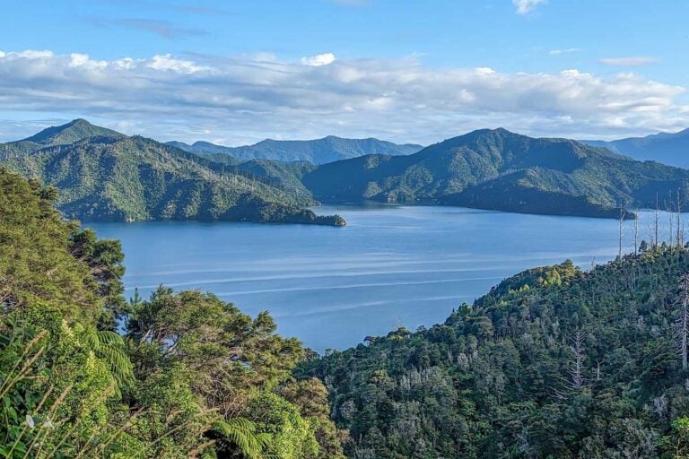 Scenic view over the Marlborough Sounds between Nelson and Picton