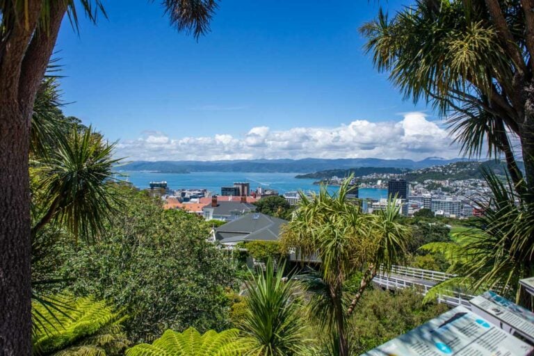 View from Wellington Cable car over the city below
