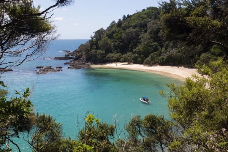 view of a pristine beach bay on the drive from Auckland to Paihia