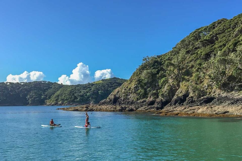 30 FUN Things to do in Paihia, New Zealand (2024 Guide!) My