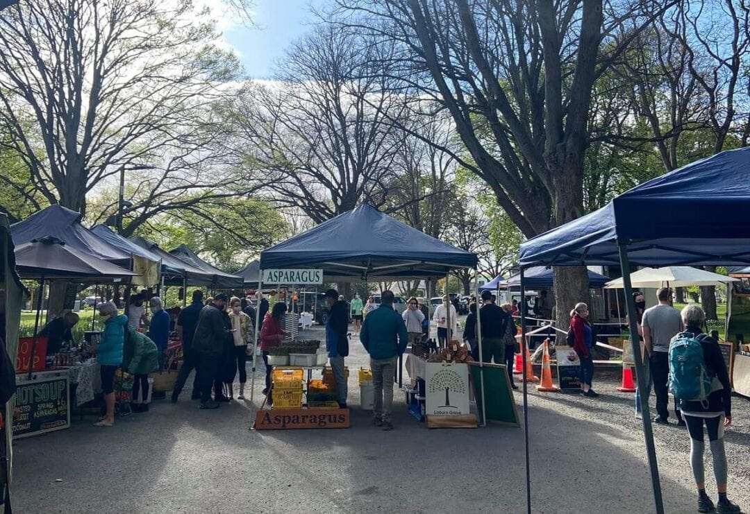 Where to Stay in Christchurch 5 BEST Areas and Hotels (for all budgets!)