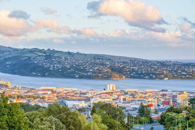 Dunedin City with views of the ocean