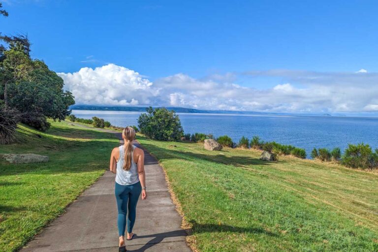 Walking along a pathway along the edge of Lake Taupo, nZ