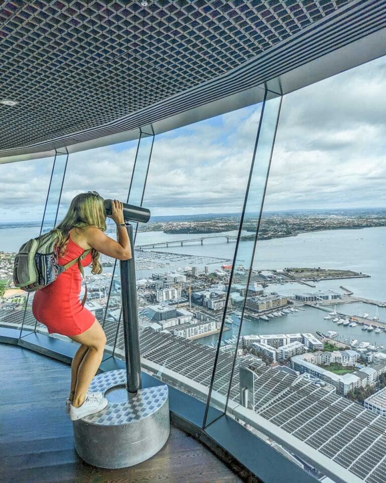 Bailey looks out at Auckland at the top of the Auckland Sky Tower, NZ
