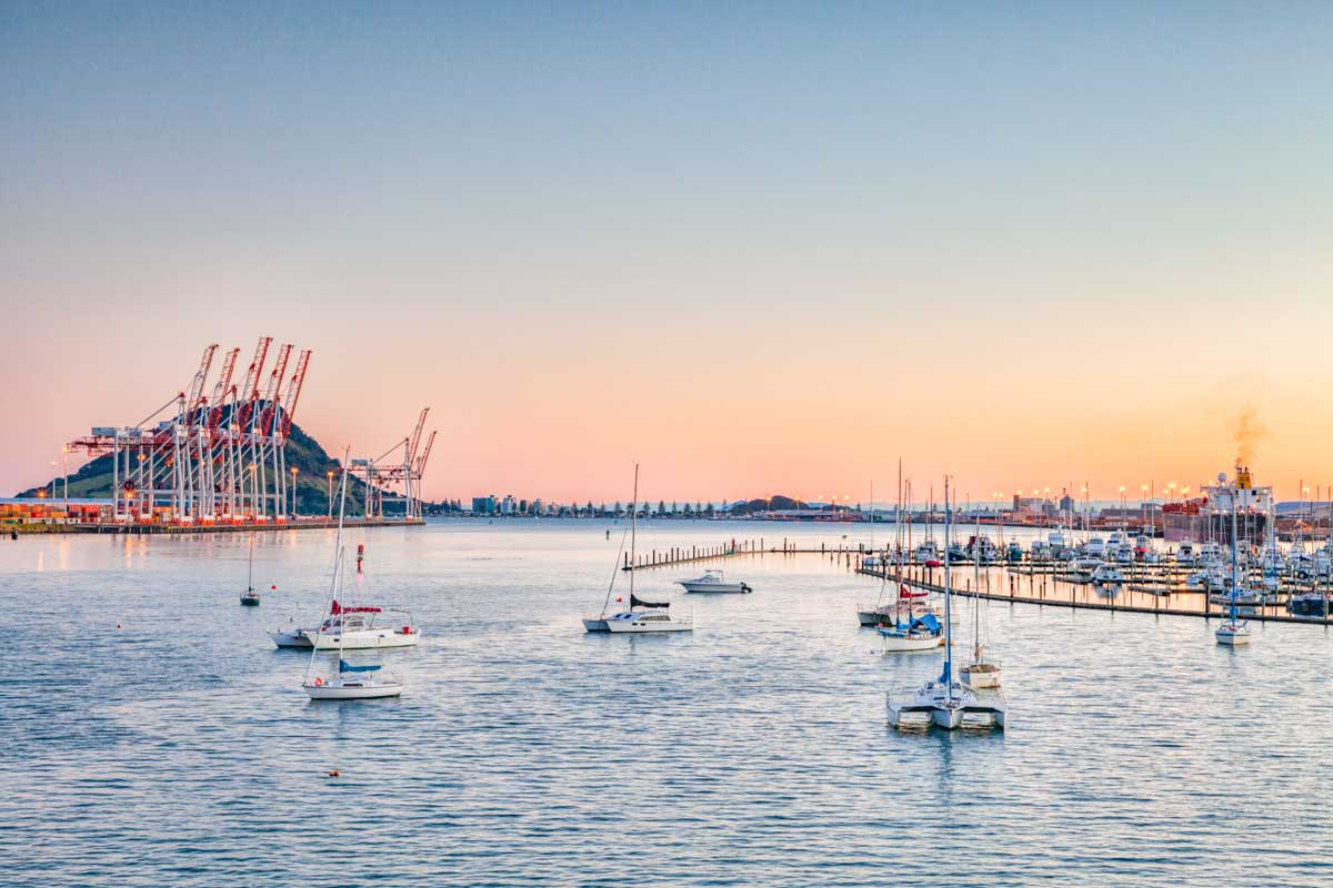 Tauranga port, New Zealand at sunset
