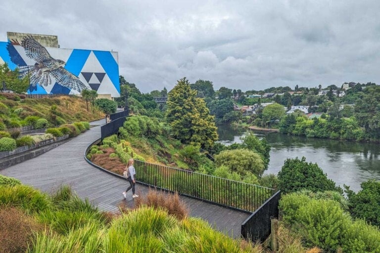 Bailey in the river valley in Hamilton, New Zealand