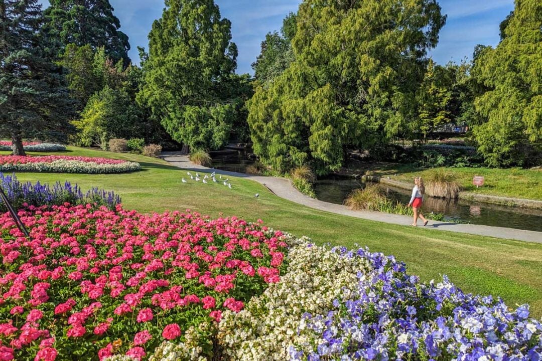 26-best-things-to-do-in-blenheim-nz-my-queenstown-diary
