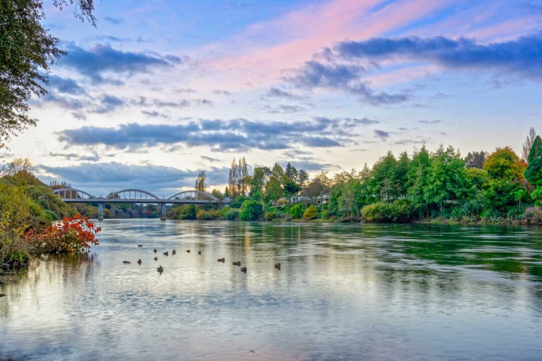 18 FUN Things To Do In Hamilton New Zealand My Queenstown Diary