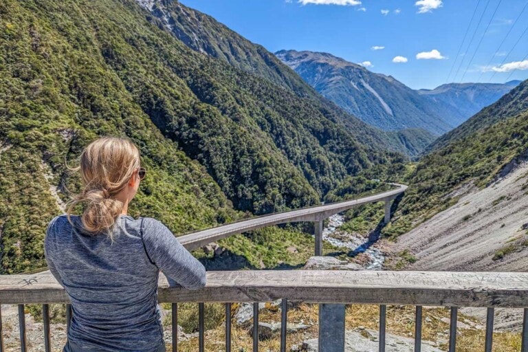 Bailey at the Otira Viaduct Lookout on Arthurs Pass, NZ