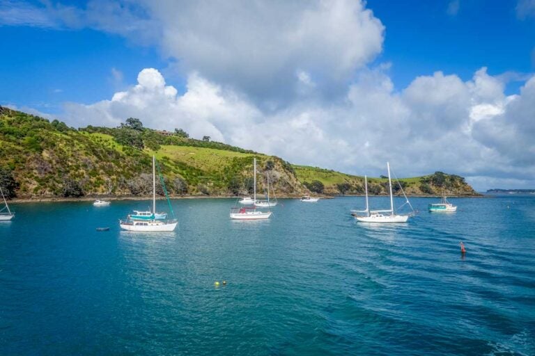 Sail boats sit just off the coast of Waiheke Island in New Zealand