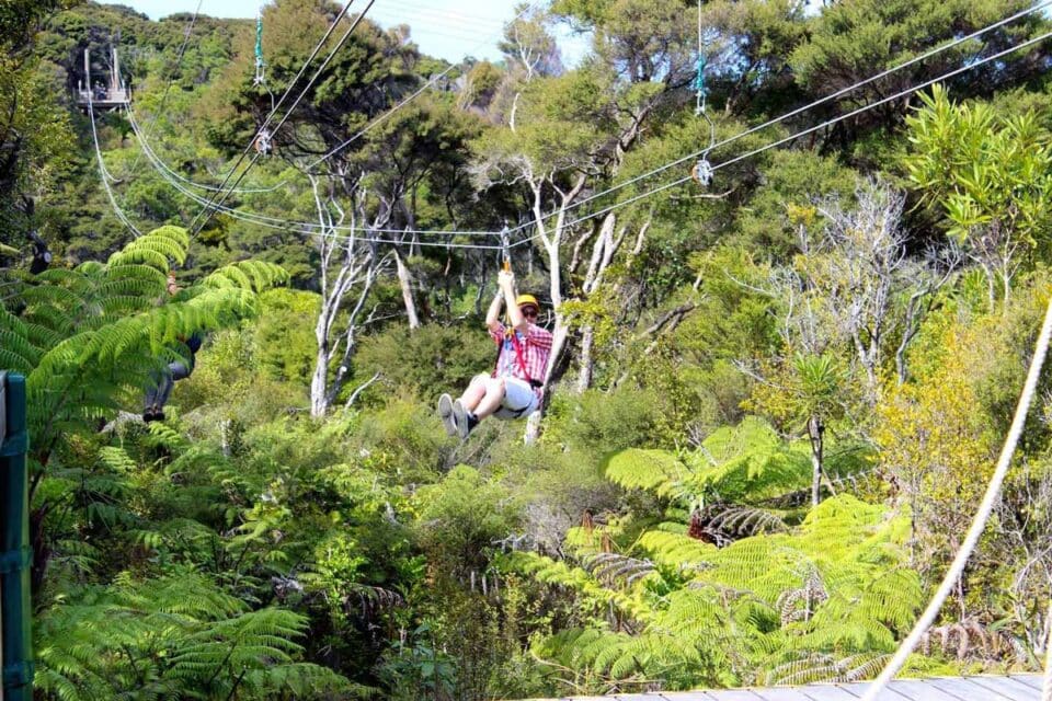 17 BEST Things to do on Waiheke Island + Visitor Guide (2024)