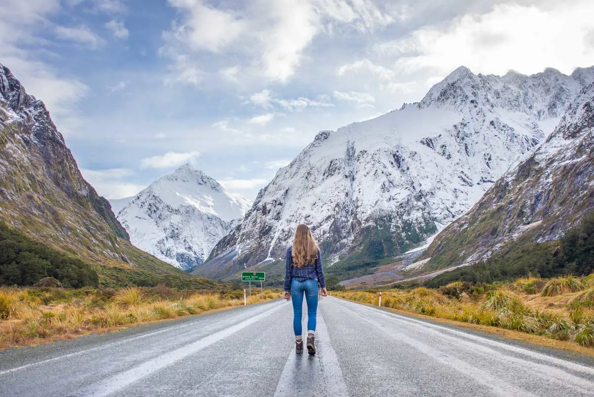 Bailey stands in the middle of the road in the mountains between Te Anau and Milford Sound