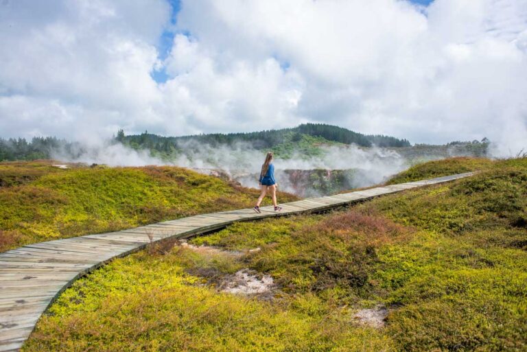Bailey walks along a path at the Craters of the Moon on the road between Taupo and Rotorua, New Zealand