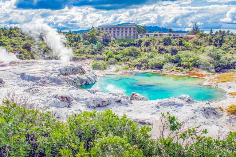 Te Puia, Rotorua